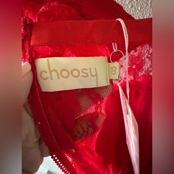 NWT Choosy OG Bae Dress Red Lace Sheer Polka Dot Mesh Sexy Dress Size 18 and 16 - Picture 10 of 10